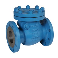 Clapets anti-retour à brides