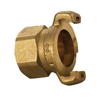 Express (griffes 41mm)