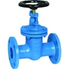 Schieber Typ: 293 Grauguss Flansch PN10/16