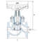 Piston valve fig. 5381 cast iron flange